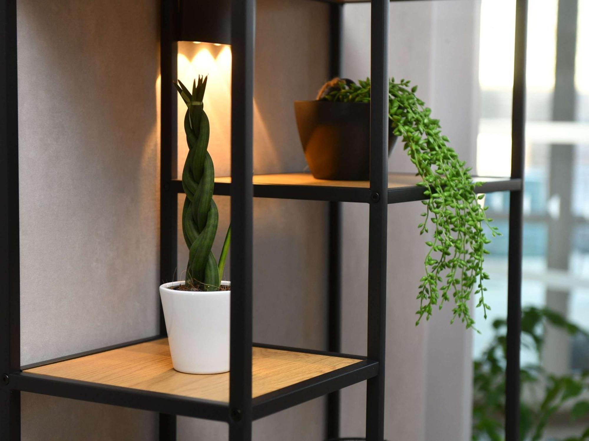 Ibis Chateauroux Bagian luar foto